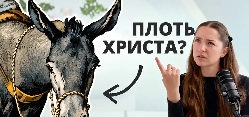APOLOGIANNA YOUTUBE EDITING: Preview frame 01